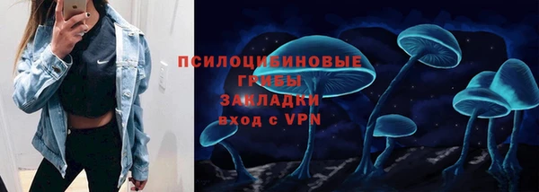 шишки Володарск