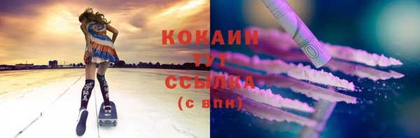 шишки Володарск