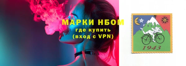 шишки Володарск
