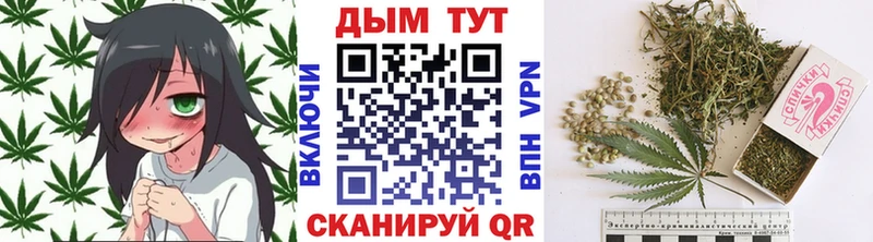 Бошки Шишки ГИДРОПОН  Купить где  Карасук 